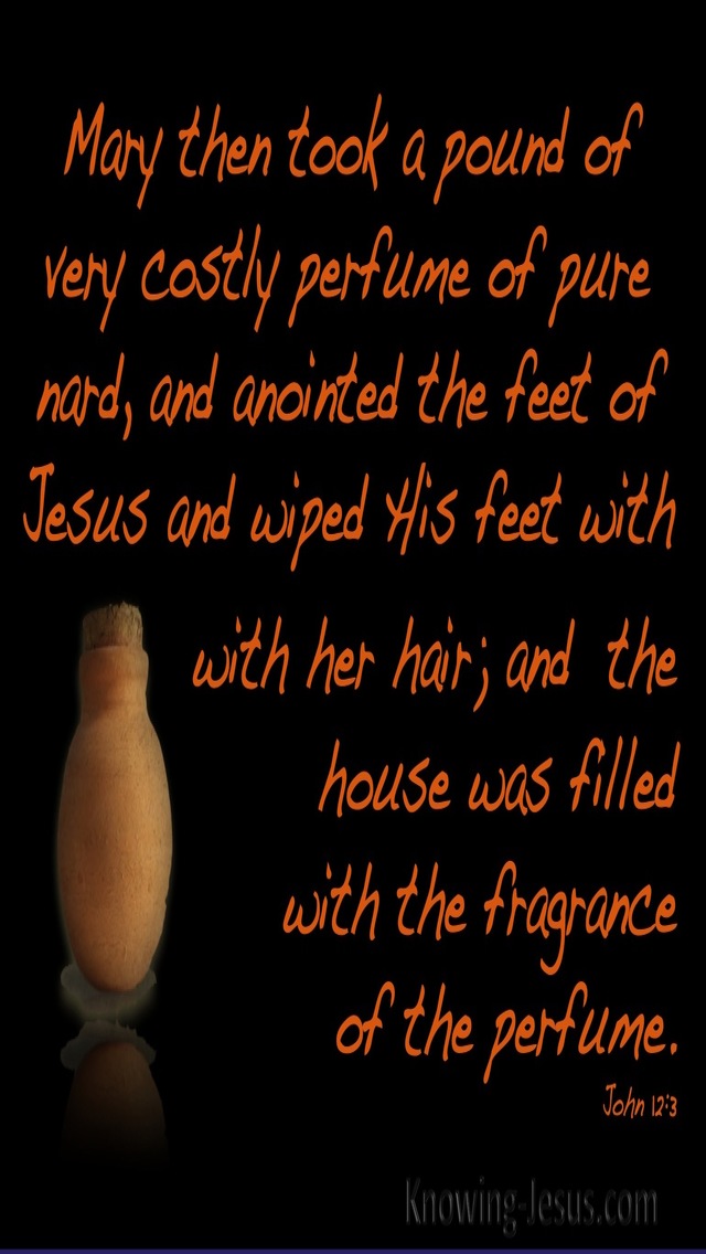 John 12:3 She Anointed The Feet Of Jesus (orange)